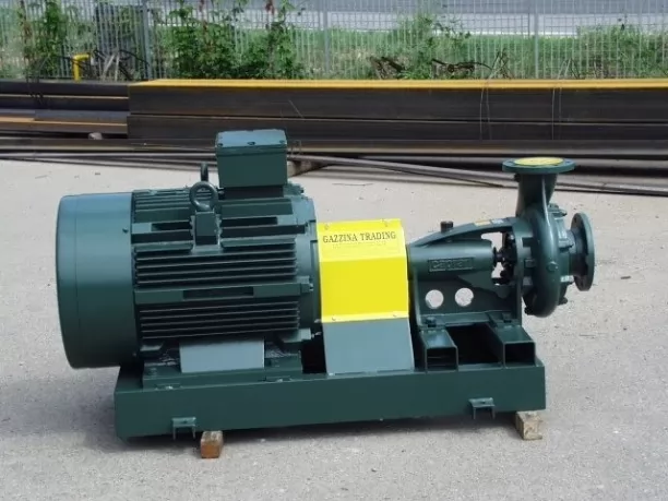 Elettropompe made in Italy