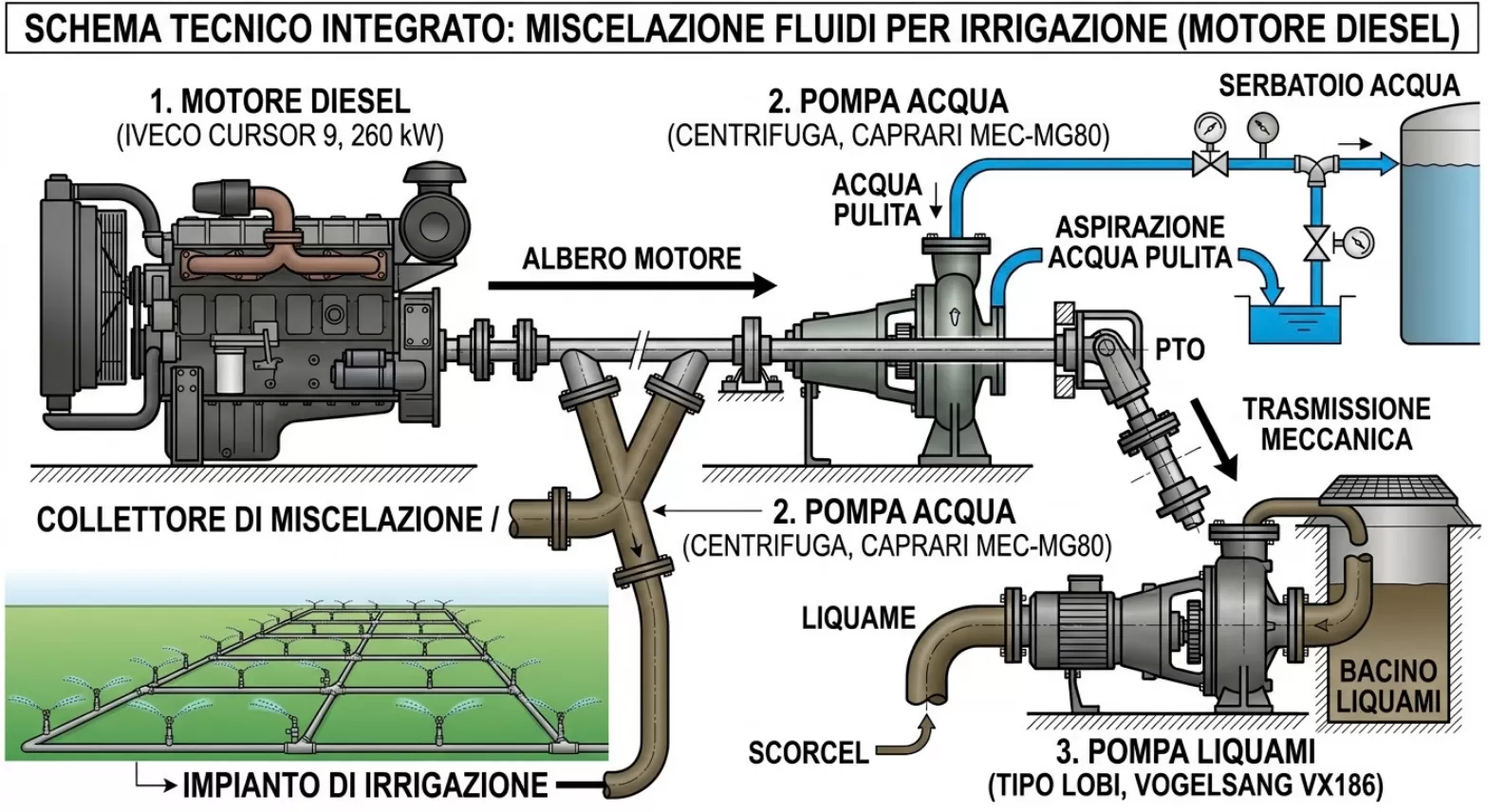 schema