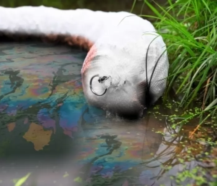 Barriere galleggianti assorbenti