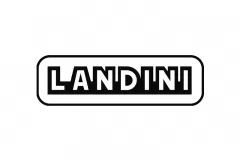 Landini